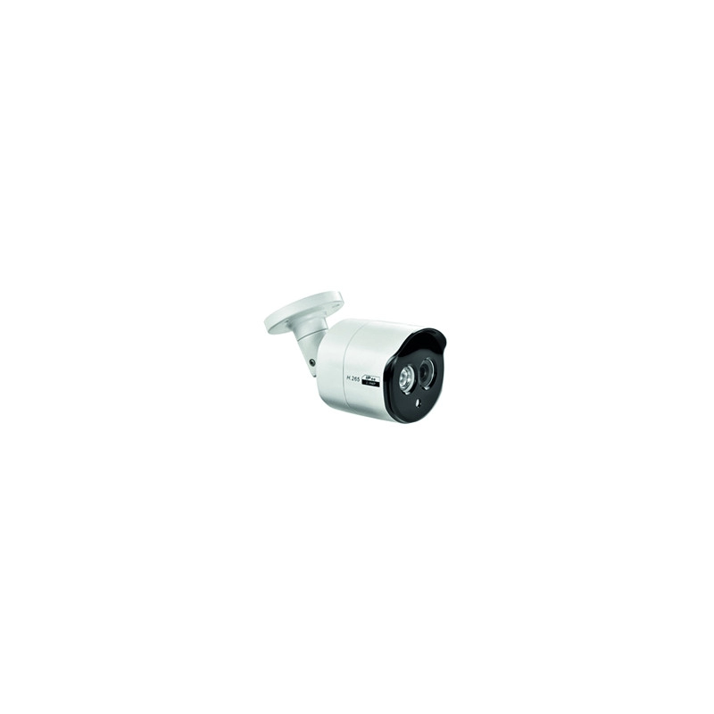 1099-200 <div itemprop="description"> CAMERA COMP 3.6MM - 2MP</div>