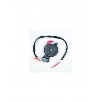 119RIBX041 <div itemprop="description"> GROUPE FIN DE COURSE BX-243</div>