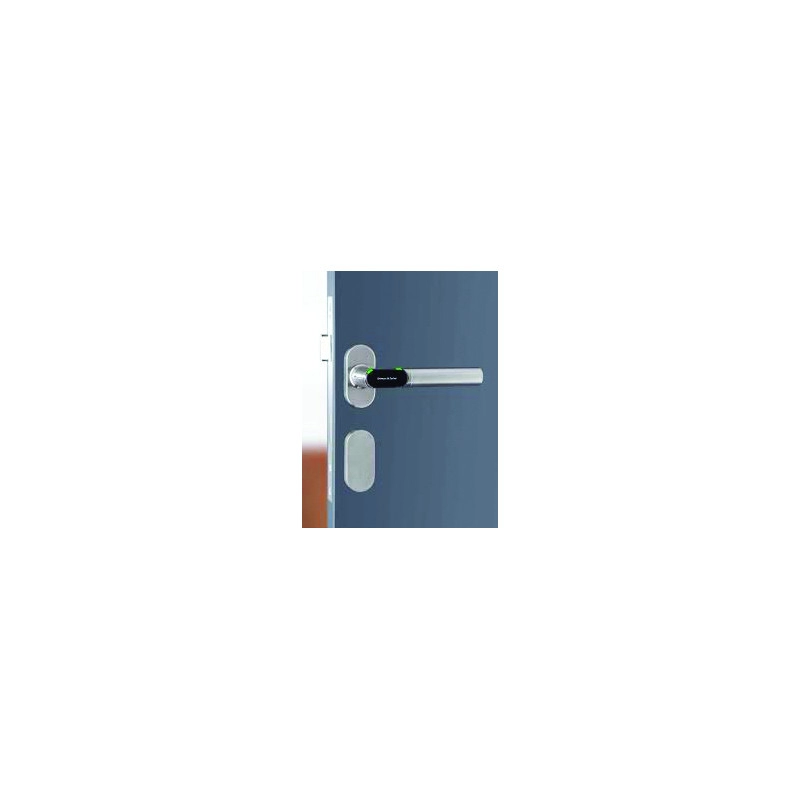 217200005000ROL <div itemprop="description"> CX2172 - POIGNEE ROSACE OVALE MIFARE/DESFIRE GHE EN</div>