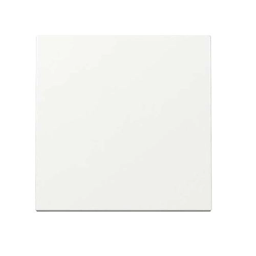 					3761063BF ADI 329603 Plaque de recouvrement pour interrupteur / bouton-poussoir, plastique, blanc