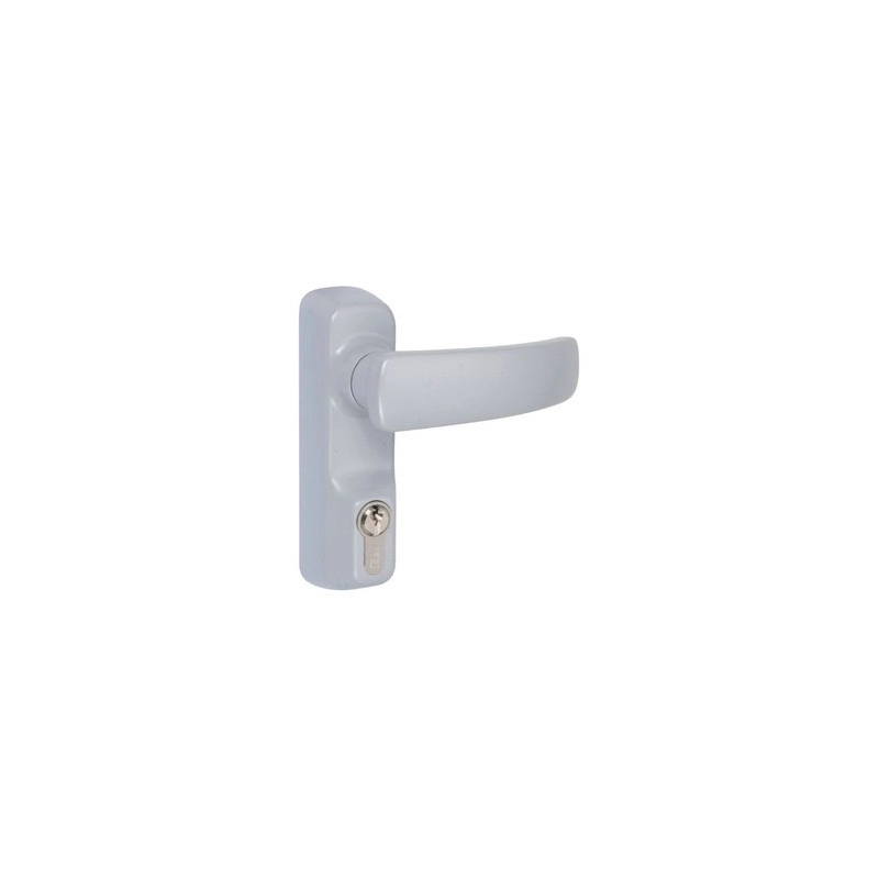 94011007T <div itemprop="description"> POIGNEE BEQUILLE + CYLINDRE POUR ANTIPANIQUE GRAND MODELE GR</div>