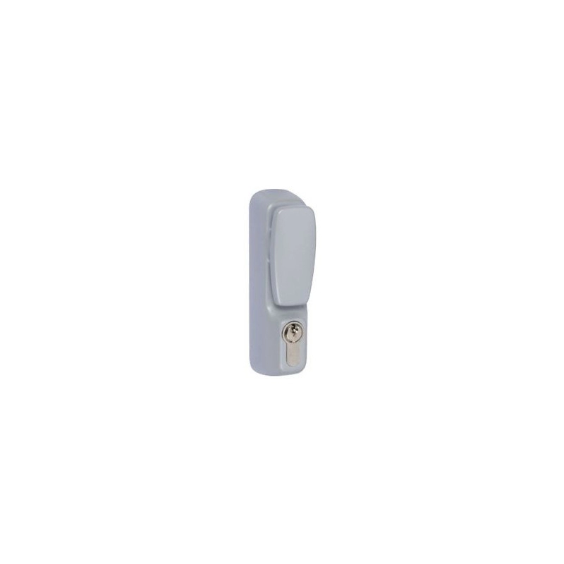 94012007T <div itemprop="description"> BOUTON + CYLINDRE POUR ANTIPANIQUE GRAND MODELE - GRIS META</div>