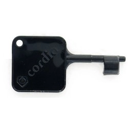 					ACLR4024 Clef de réarmement pour DM Cordia - OREXA / AGYLUS (unité)