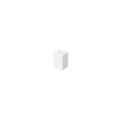 B00578 <div itemprop="description"> EMBOUT DE FERMETURE LM GOULOTTE 25X17 BLANC</div>