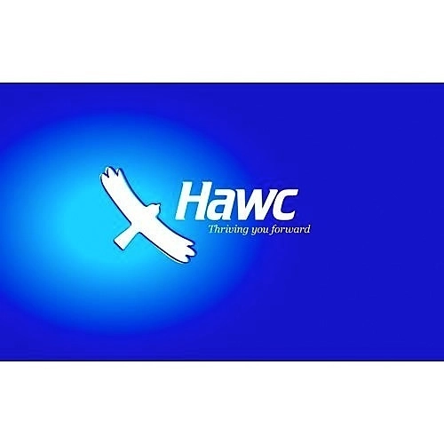 BB-HWR-12GB5 Hardware RAID card 12Gb - RAID0/1/10/5
