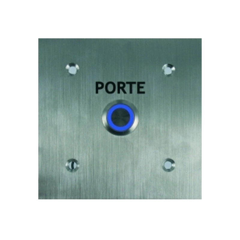 BP03L POUSSOIR INOX LUMINEUX NO/NF MONTE SUR FACADE 100 X 100