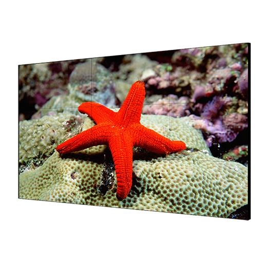 DS-D2055LU-Y <div itemprop="description">Monitor 55" Fullhd 3.5mm HDMI VGA DVI Dp</div>