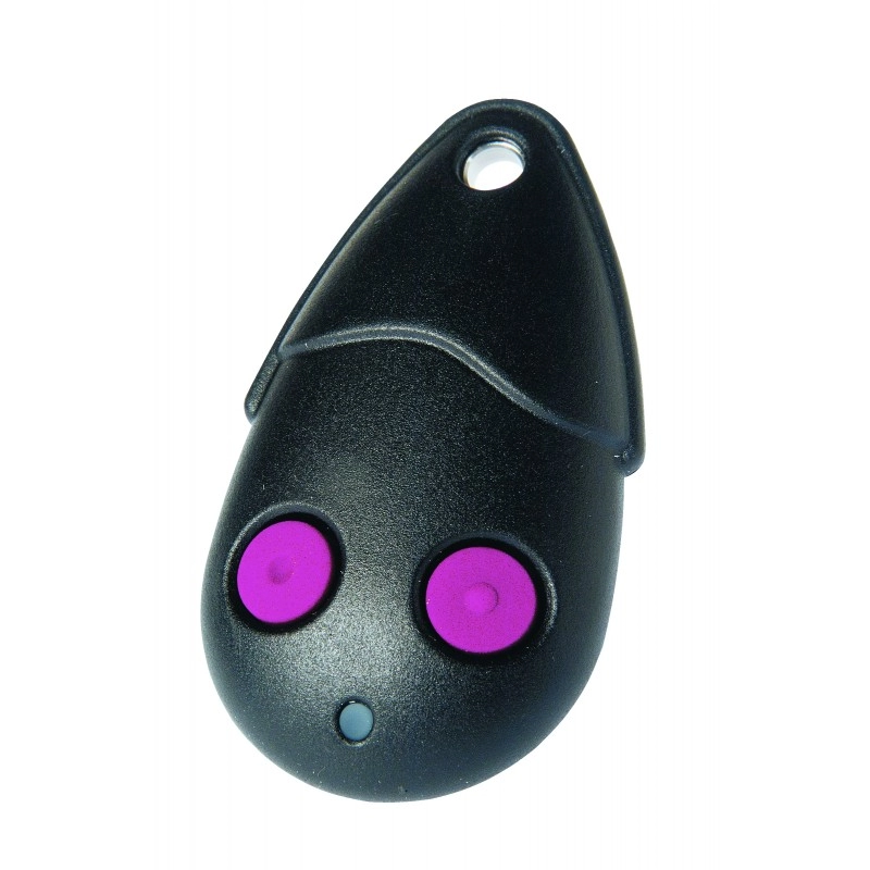 EHFP868 EMETTEUR BI TECHNOLOGIE 868MHZ
