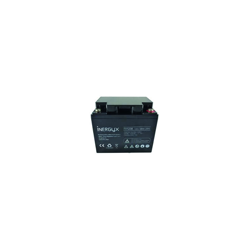 FX1238 <div itemprop="description"> BATTERIE VRLA 12V 38 Ah FR UL94 V0 197 x 166 x 170 MM</div>