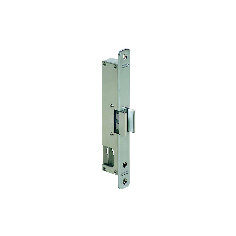 GDES400 <div itemprop="description"> GCHE ELECTRIQUE POUR PORTE EN VERRE 8-12 MM 12-24V DC + CTC</div>