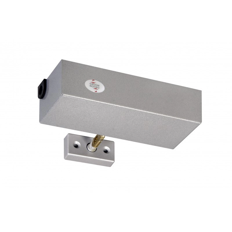 GRS100411 <div itemprop="description"> VERROU ELECTROMECANIQUE ISSUE DE SECOURS GRS100 24/48V DAS</div>