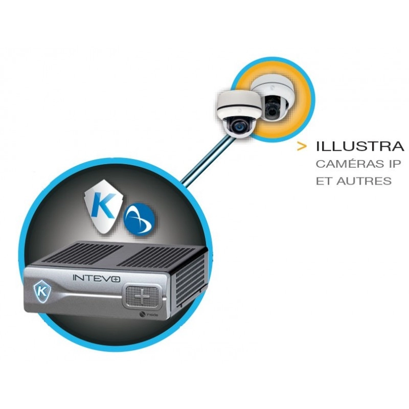 INTEVOIPCAM01 LICENSE CAMERA INTEVO (GRATUIT SI CAMERA IP ILLUSTRA 600)