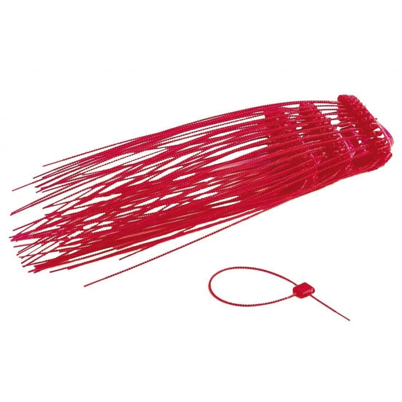 IPPR0001 <div itemprop="description"> PLOMB PLASTIQUE ROUGE - LOT DE 300</div>