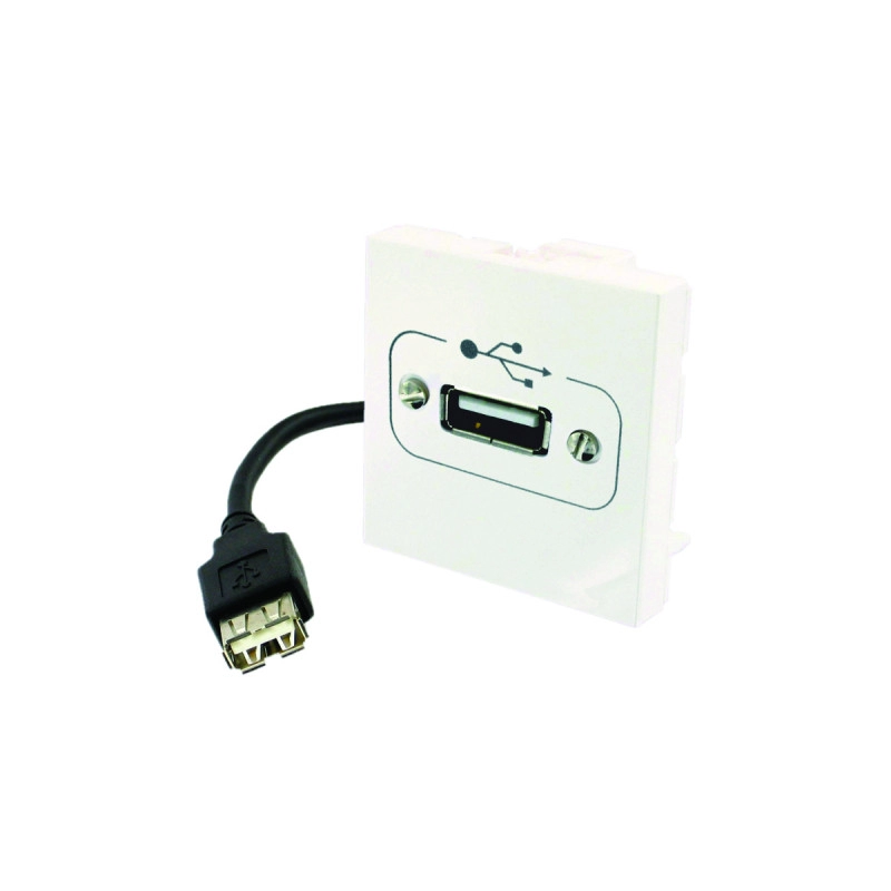 MQPC7007F <div itemprop="description"> PLASTRON USB A FEMELLE-FEMELLE 2 MODULES 0.2M</div>