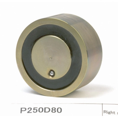 P250D80 