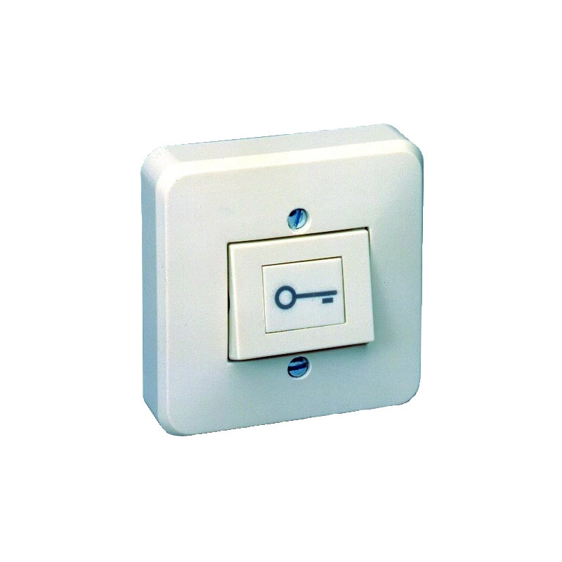 PB1010 <div itemprop="description"> BOUTON POUSSOIR ABS BLANC CONTACT NO/NC + SYMBOLE CLE</div>