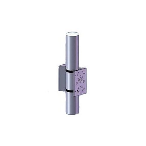 					PBC2 Raytec PBC2 Support sur montage poteau de l`illuminateur, double face, pour illuminateur 2X RAYMAX et RAYLUX