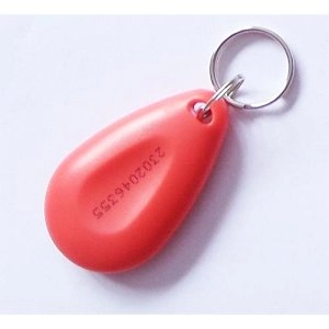 PBXR-1E-MS50 <div itemprop="description"> Badge Rouge Nxp MIFARE S50 1k</div>