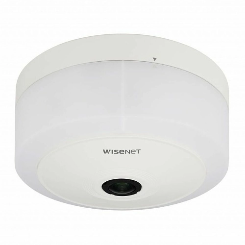 TNF-9010 <div itemprop="description">Ip Panoramic 12mp Fisheye Parking Guidan</div>