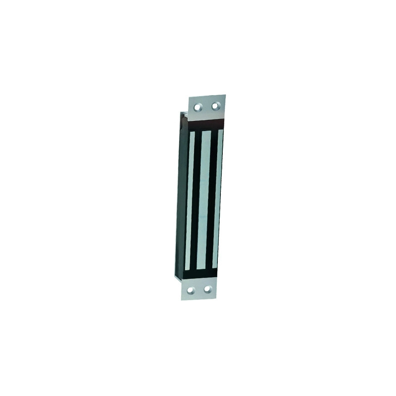 V3ER48 <div itemprop="description"> VENT. 300KG ENCASTR+ 48VCC CONFORME NFS</div>