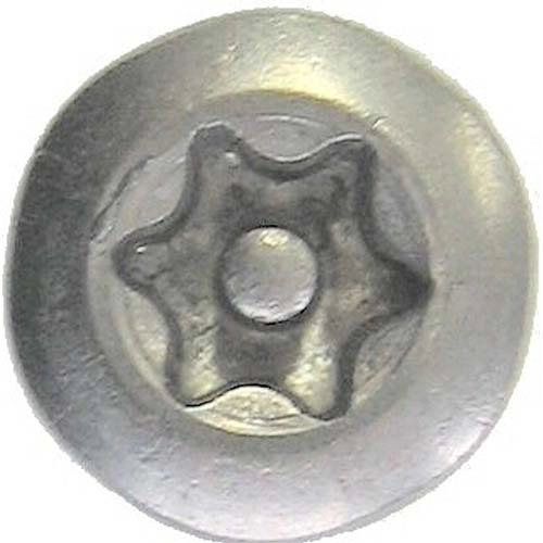 VTR7053 <div itemprop="description"> Intercom Vis Torx N20 4x10</div>