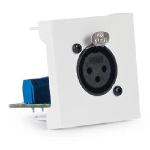 WP-39X Module 45x45 Conecteur XLR Fem